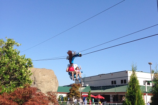 Soaring Eagle Zipline